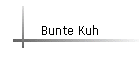 Bunte Kuh