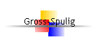 Gross-Spulig