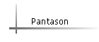 Pantason
