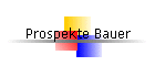 Prospekte Bauer