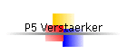 P5 Verstaerker